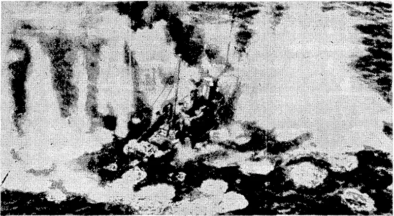 A Japanese freighter straddled by bombs when the United Stales Navy attacked the Japanese naval base at Truk on February 16. (Evening Post, 15 March 1944)