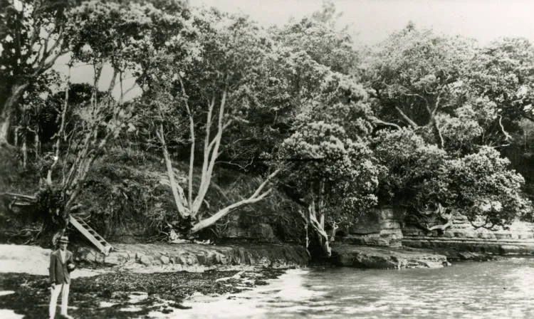 Winstone's Cove, Torbay.
