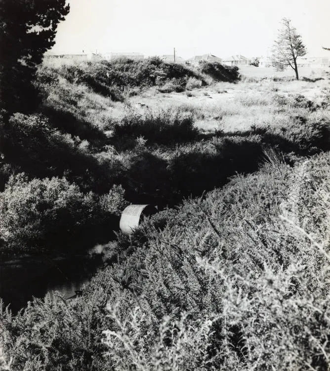 Proposed tip site, Otara, 1971.
