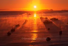 Stewart Island / Rakiura, New Zealand