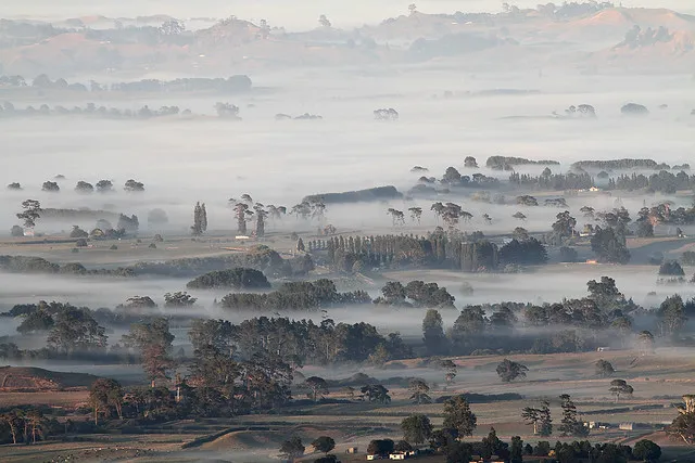 Waikato farmland