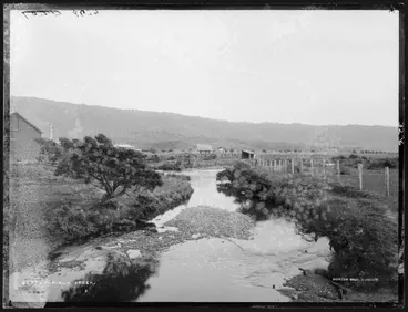 Image: Porirua Creek