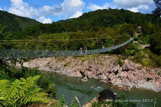 Buller Gorge Swingbridge