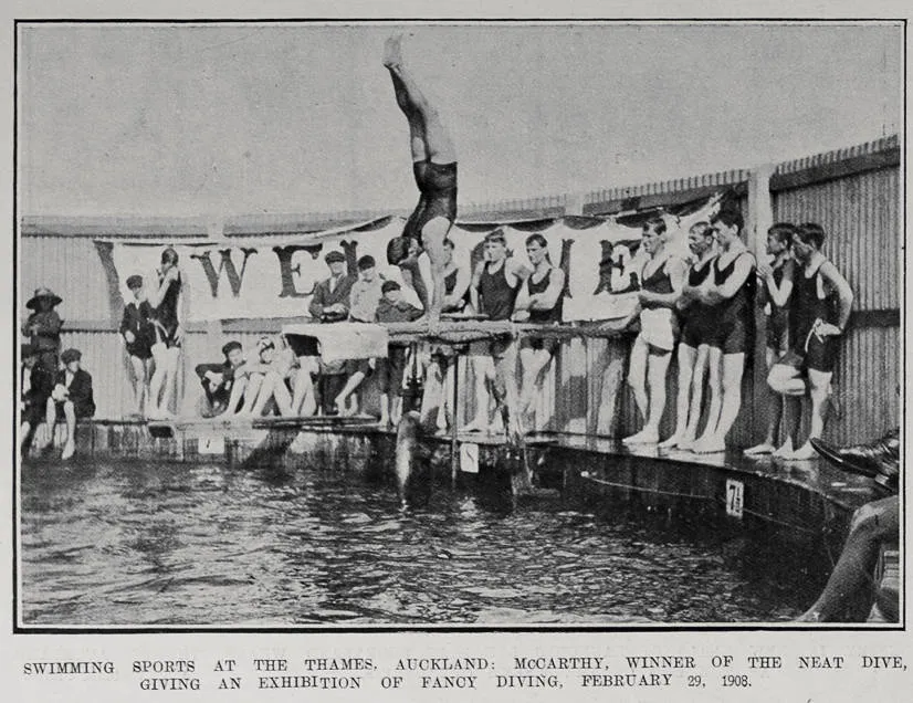 SWIMMING SPORTS AT THE THAMES. AUCKLAND: McCARTHY, WINNER OF THE NEAT DIVE, GIVING AN EXHIBITION OF FANCY DIVING FEBRUARY 29, 1908
