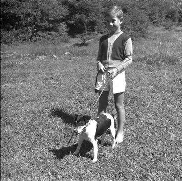 Image: Auckland City Council Hydatids Dosing Centre, 1961