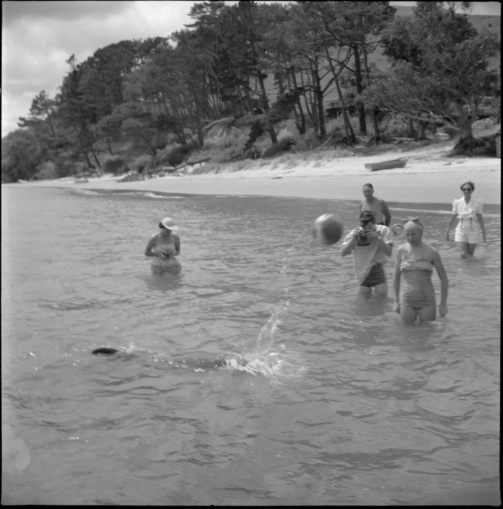 Opo the dolphin, Opononi