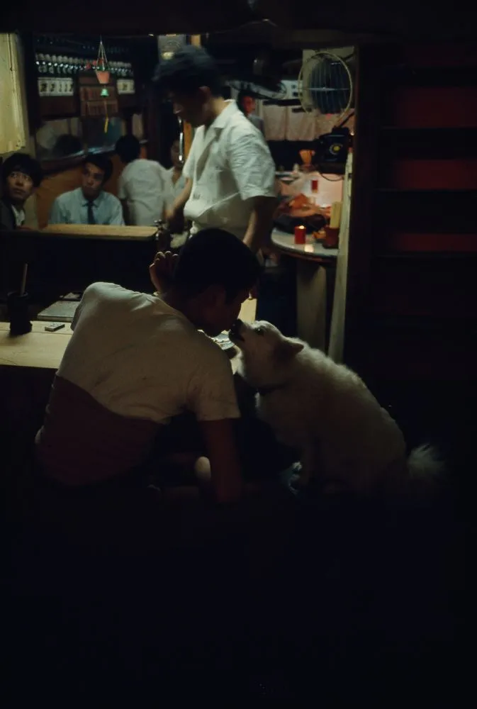 Japan Series: General Views