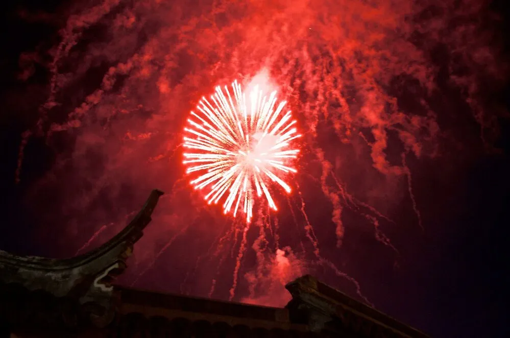 2014 Chinese New Year Celebrations