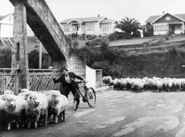 Image: Fairfield Bridge