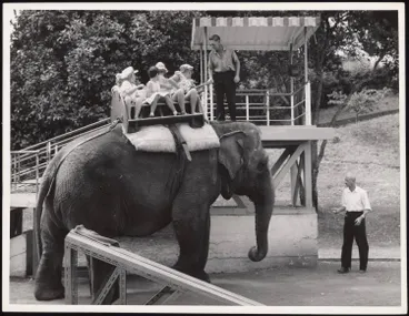 Image: Children riding on an elephant at the Auckland Zoo
