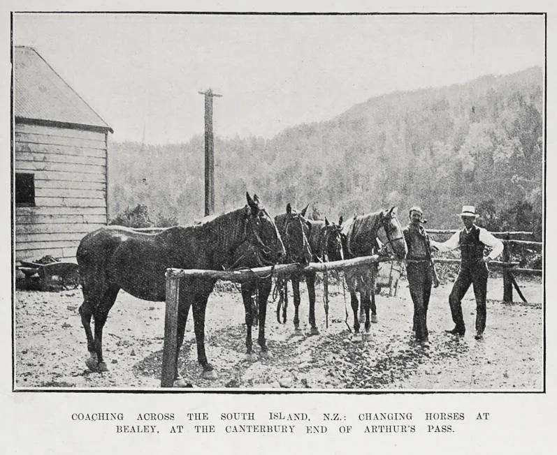 Coaching Across The South Island, N.Z.