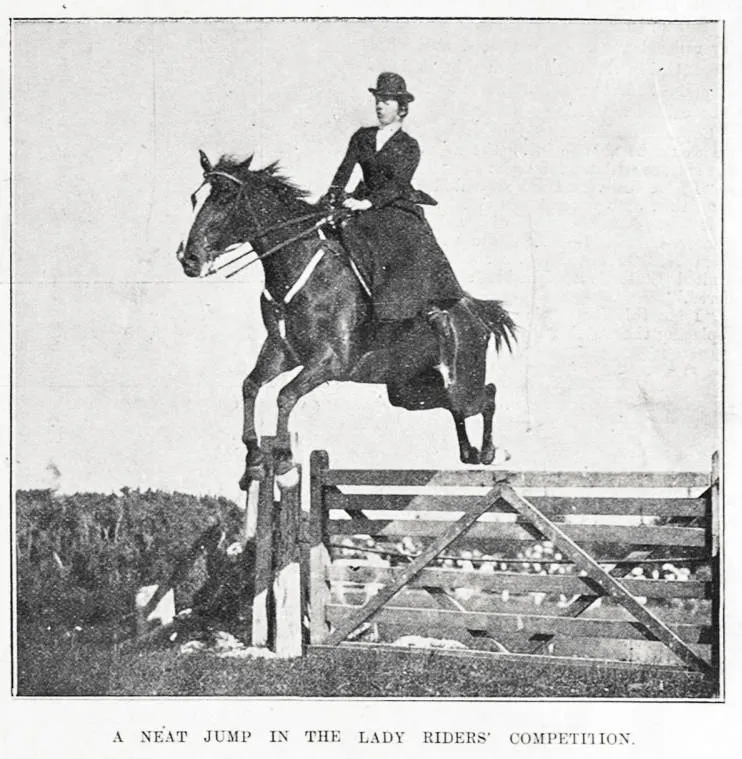 A neat jump in the lady riders' competition