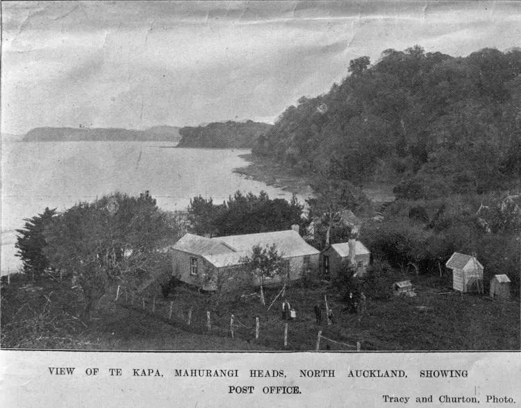 Typical New Zealand bush settler's homestead.