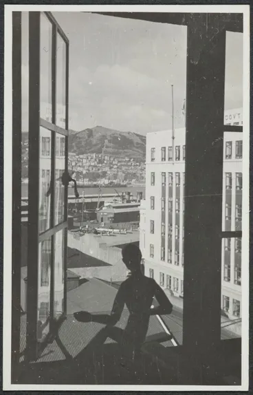 Image: Wellington from Brandon House studio