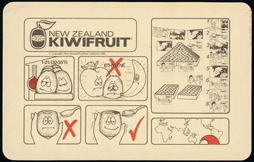 Image: Kiwifruit brochure