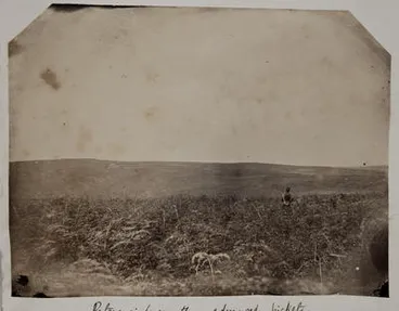 Image: Paterangi from the advanced pickets. This photograph was taken under fire. New Zealand