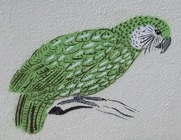 Image: Photograph of kākāpō illustration by Adrienne Grant
