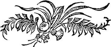 Image: Untitled Illustration (Otago Witness, 17 December 1853)