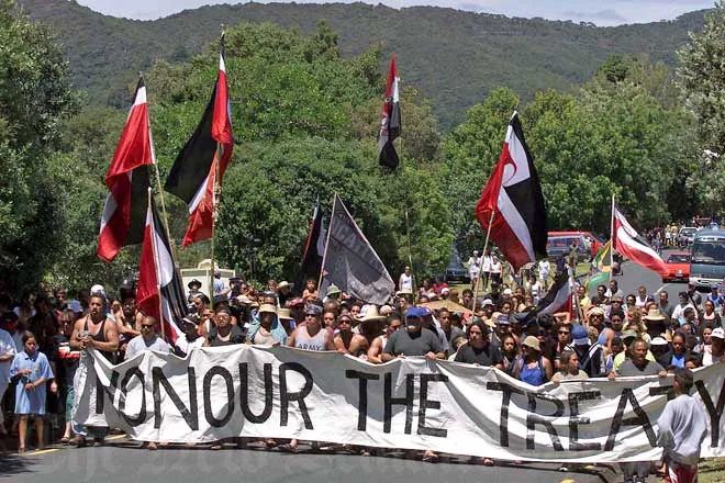 Waitangi Day protest