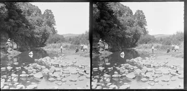 Image: Boys, including Edgar Richard and Owen William Williams, playing with toy sailboat on river, Woodhaugh Gardens, Dunedin, Otago Region