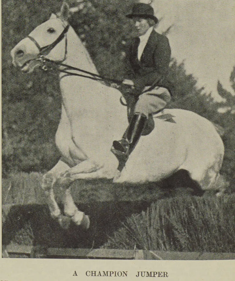 A champion jumper