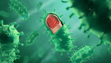 Image: Epidemics