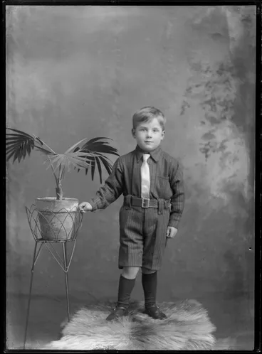 Image: Studio portrait of unidentified young boy in dark striped shirt and pants with light coloured tie, standing on fur rug with small palm tree pot plant on stand, Christchurch