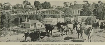Image: Rural touch to pleasant riverside scene by the Fairfield Bridge, Hamilton