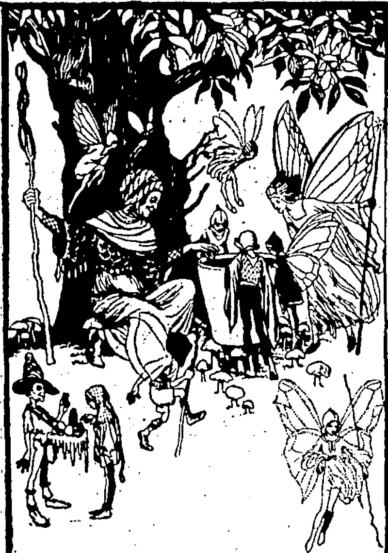 A ribbon from the sunrise, a Jewell from the night, An , acorn dipped in bird-song and a thimbleful of light; A petalful of laughter and a white moth's wing ..... These w«r« in the magic brew that woke the Fairy Spring. (Evening Post, 03 November 1928)