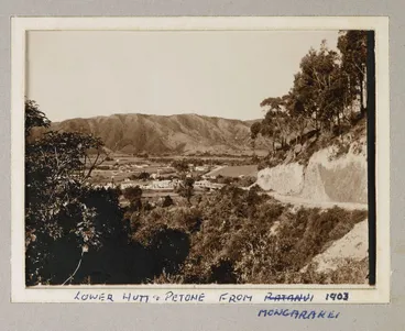 Image: Lower Hutt and Petone from Maungarakei