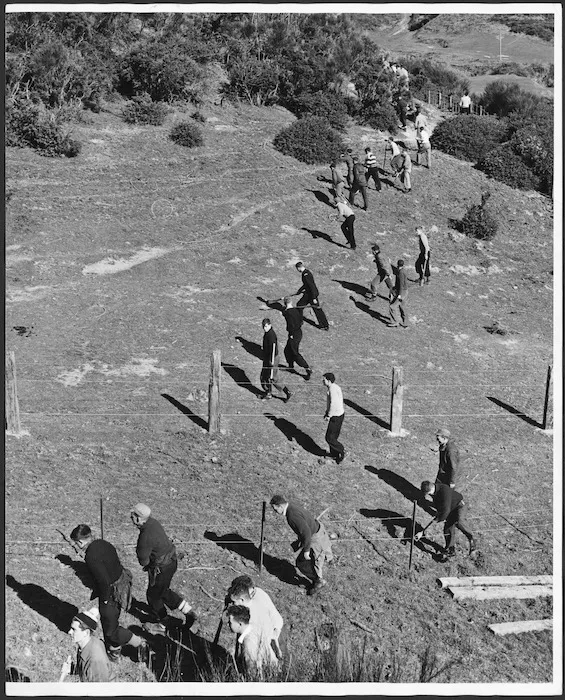 Police searching the hills above Melrose Terrace, Wellington, New Zealand