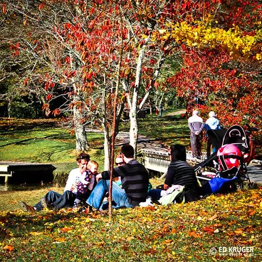 Tauranga Autumn Image: Tauranga Autumn