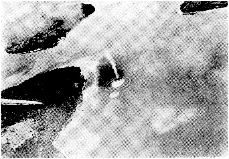 White patches show ivhere a second salvo of bombs has just landed close to a burning and sinking Japanese transport off Neiv Britain Island, in the South Pacific. The transport was sighted from the air, and despite an elaborate attempt to camouflage it with palm trees and other foliage, it was sunk by American airmen. (Evening Post, 27 February 1943)