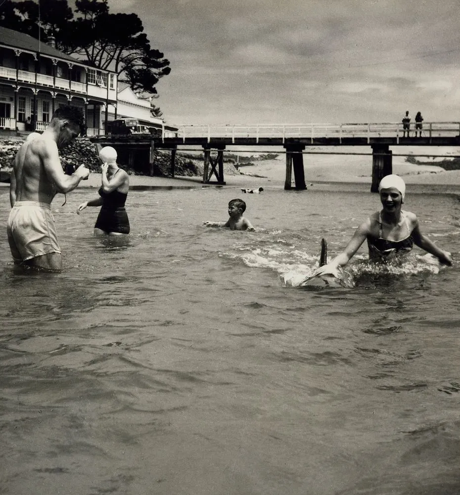 Opo the dolphin, Opononi