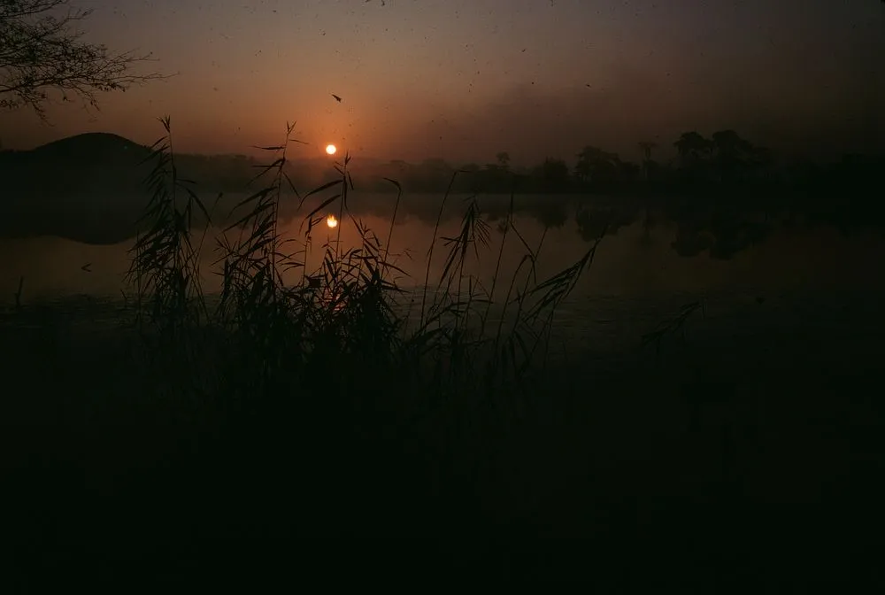 Japan Series: Sunset