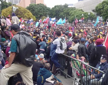 Image: Photographs of the Foreshore and Seabed Hikoi, Parliament grounds, Wellington