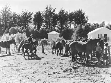 Image: Children and horses, Ruatōria