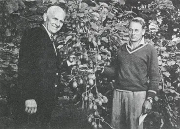 Image: Grahame Bayliss’s Hayward crop