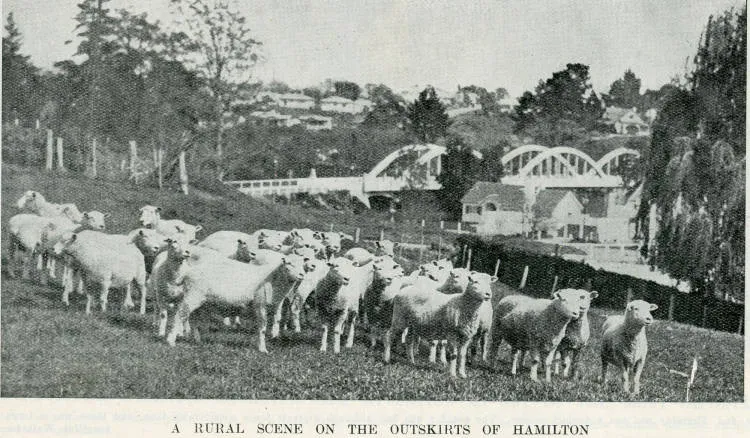 A rural scene on the outskirts of Hamilton
