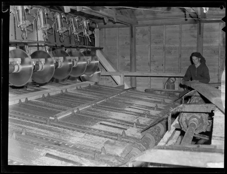 Tokoroa Timber Industry, 1952