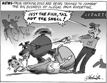 Image: News. Paua-sniffing dogs are being trained to combat the big business of illegal paua exporting. "Just the fish, Taz not the shell!" 19 July, 2006