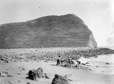 Whakaari Peninsula, Tangoio, the recovery of a Whaling Pot Image: Whakaari Peninsula, Tangoio, the recovery of a Whaling Pot