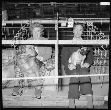 Image: Owners and dogs, National Dog Show, Wellington