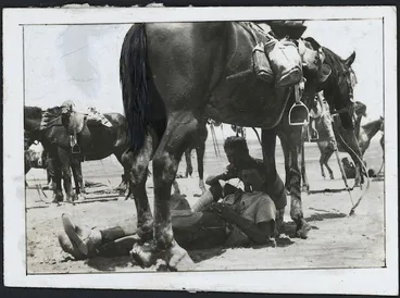 Image: Soldiers of the New Zealand Mounted Rifles resting in the shade of their horse.