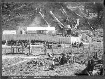 Image: Scene at Heipipi