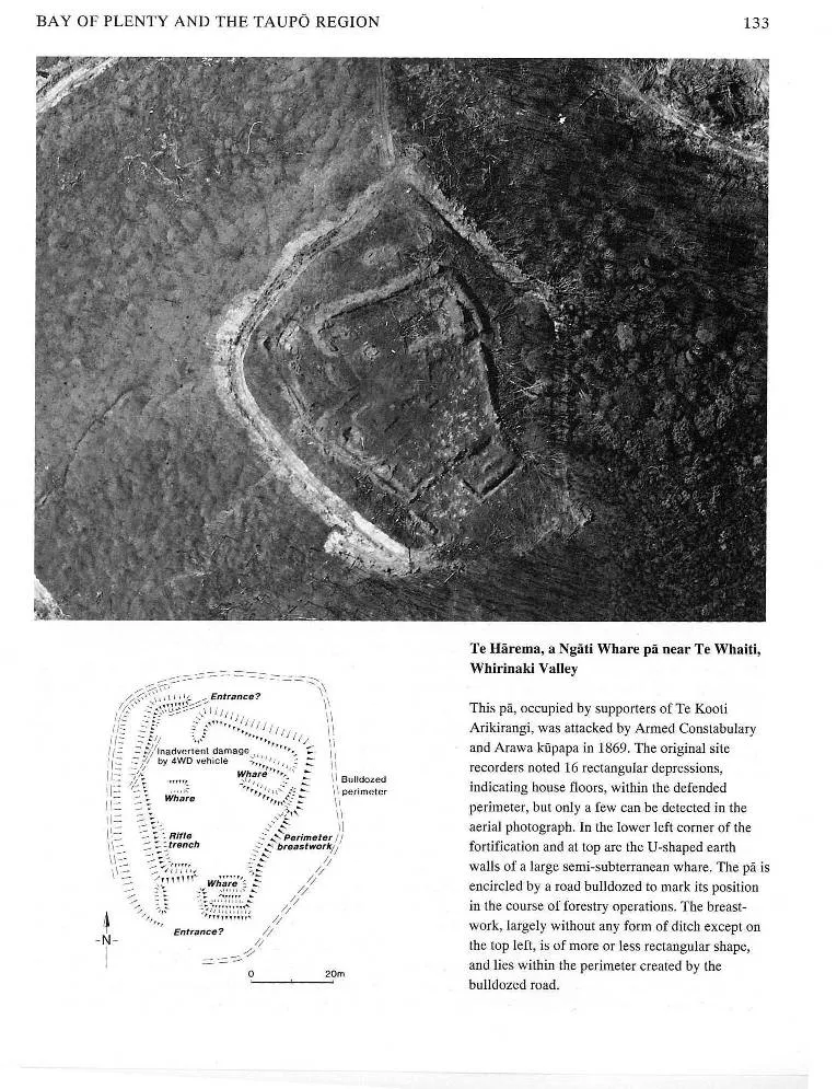 Te Hārema, a Ngāti Whare pā near Te Whaiti, Whirinaki Valley
