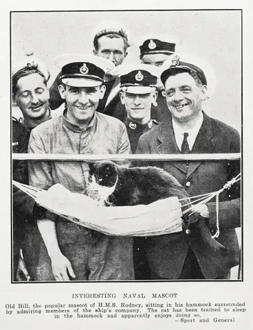 Interesting naval mascot Image: Interesting naval mascot