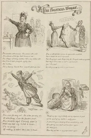 Image: The Political Woman