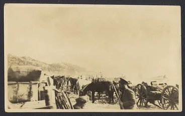 Image: Beach Anzac Cove