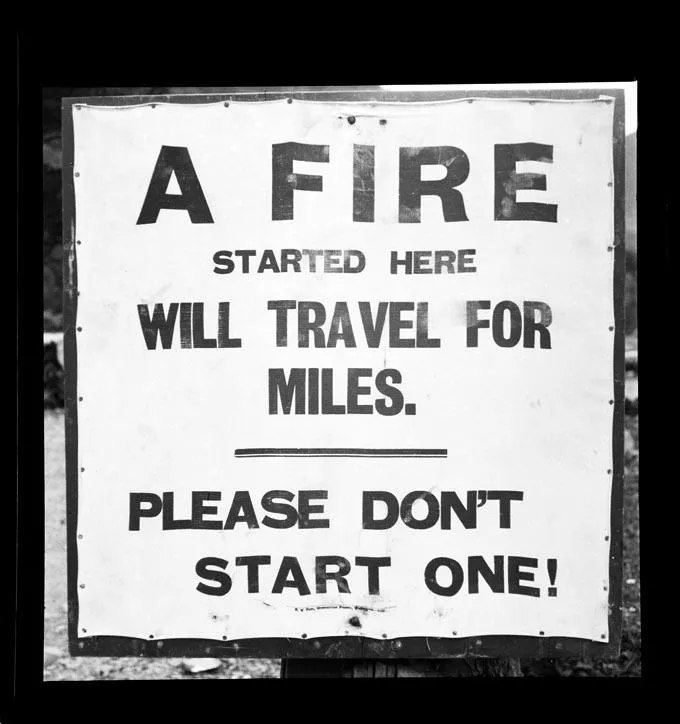 Timber & fire prevention